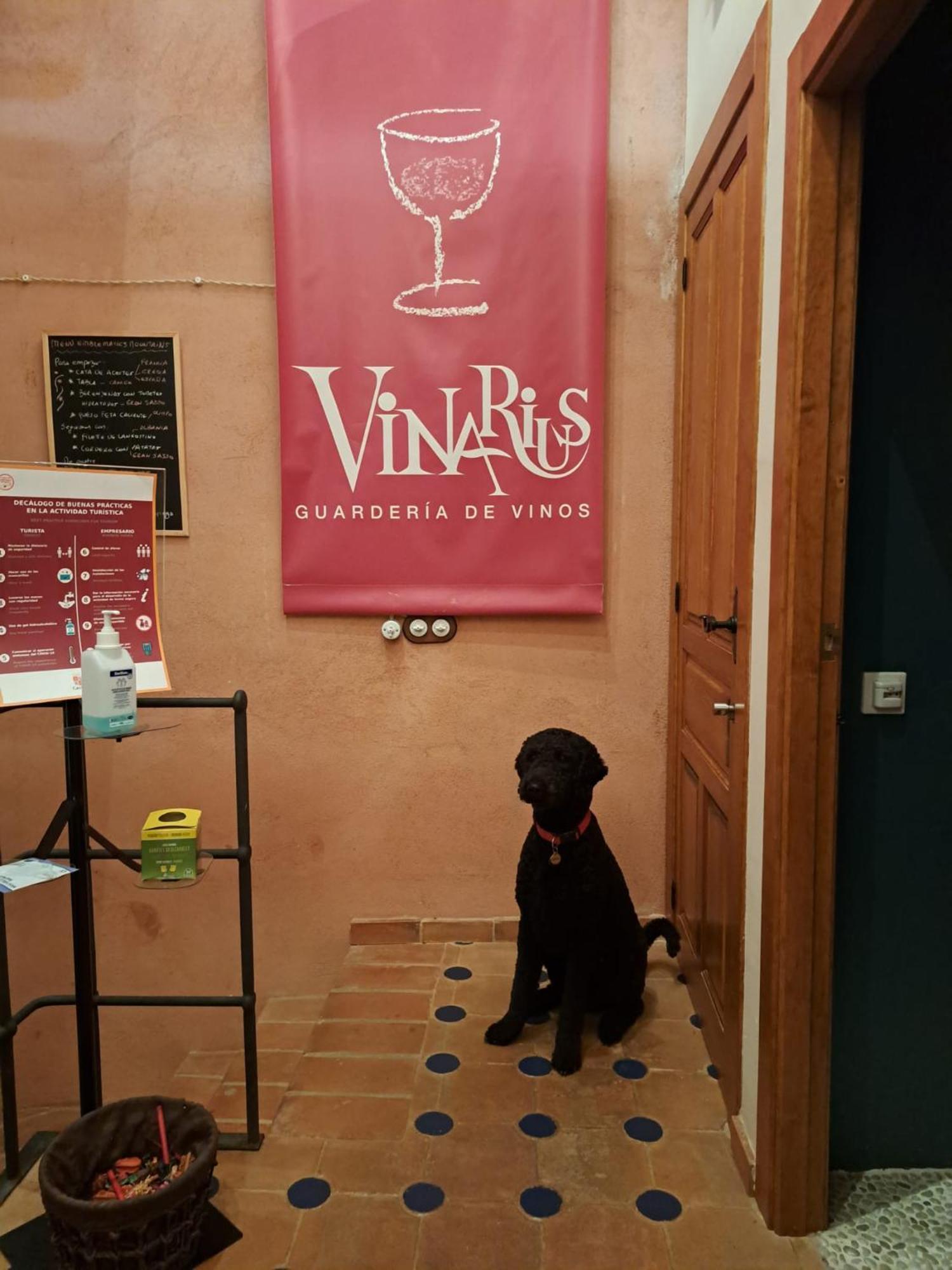 Vinarius, Posada Rural Castellanos de Villiquera Ngoại thất bức ảnh